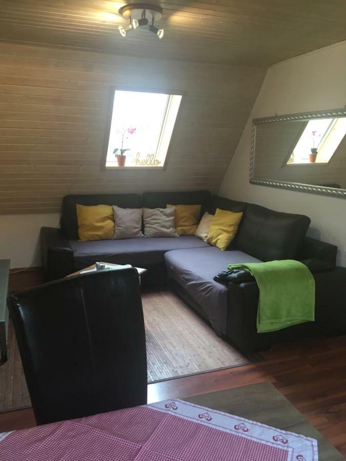 Wohnung Nur Fuer Monteure Und Handwerker Bad Krozingen Esterno foto