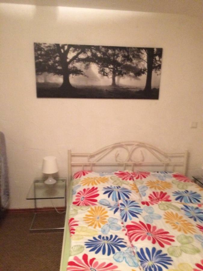 Wohnung Nur Fuer Monteure Und Handwerker Bad Krozingen Esterno foto